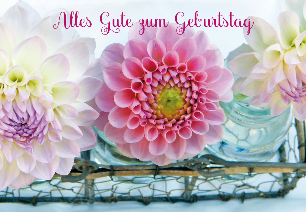 Geburtstag - rosa und weiß Blumen Geburtstag - rosa und weiß Blumen