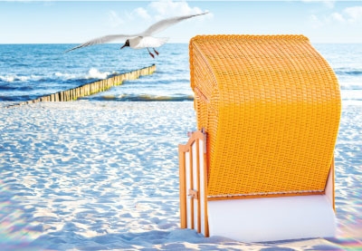 Gute Laune Grüße an den Norden - Strandkorb und Möwe Gute Laune Grüße an den Norden - Strandkorb und Möwe