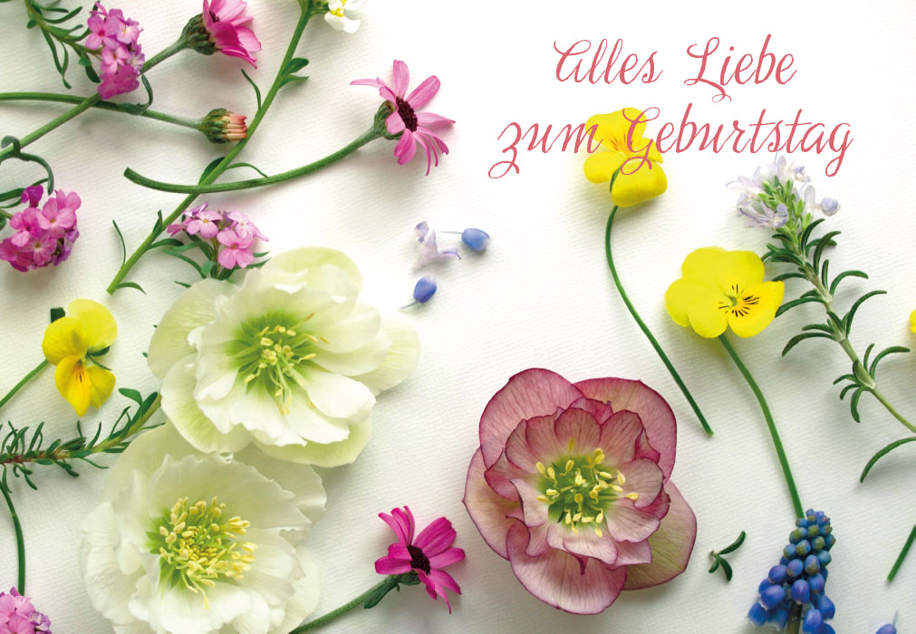 Geburtstag - bunte Blumen auf Tisch Geburtstag - bunte Blumen auf Tisch