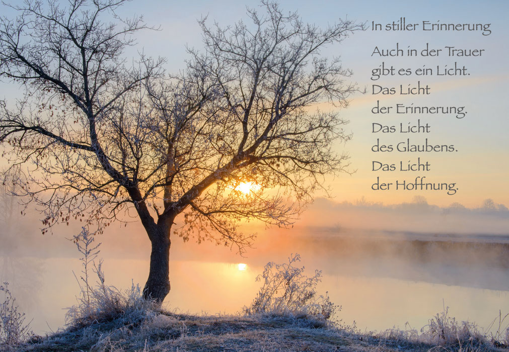 Trauer - Baum, Sonnenuntergang