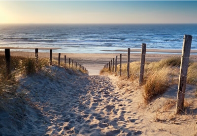 Gute Laune Grüße an den Norden - sandiger Weg zum Strand Gute Laune Grüße an den Norden - sandiger Weg zum Strand
