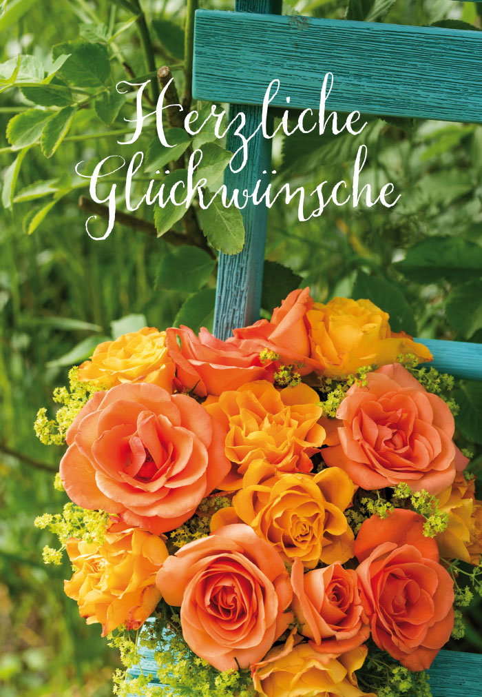 Blumen - orange Rosen auf Bank Blumen - orange Rosen auf Bank
