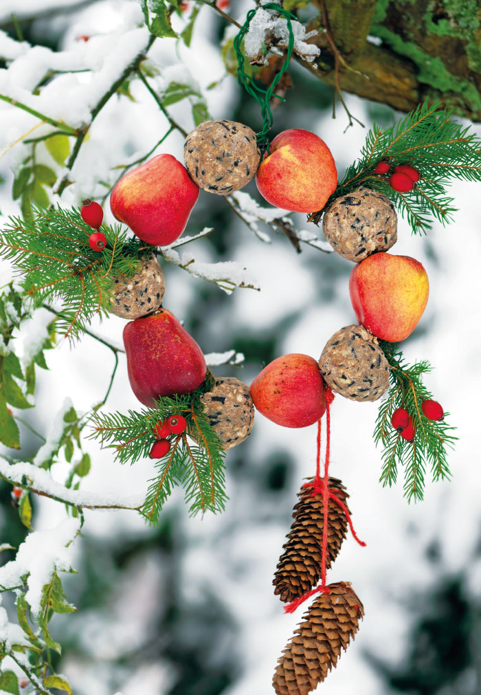 Vorweihnachtszeit - Vogelfutter spezial