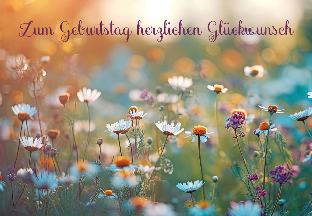 Geburtstag - Blumen, Blumenwiese
