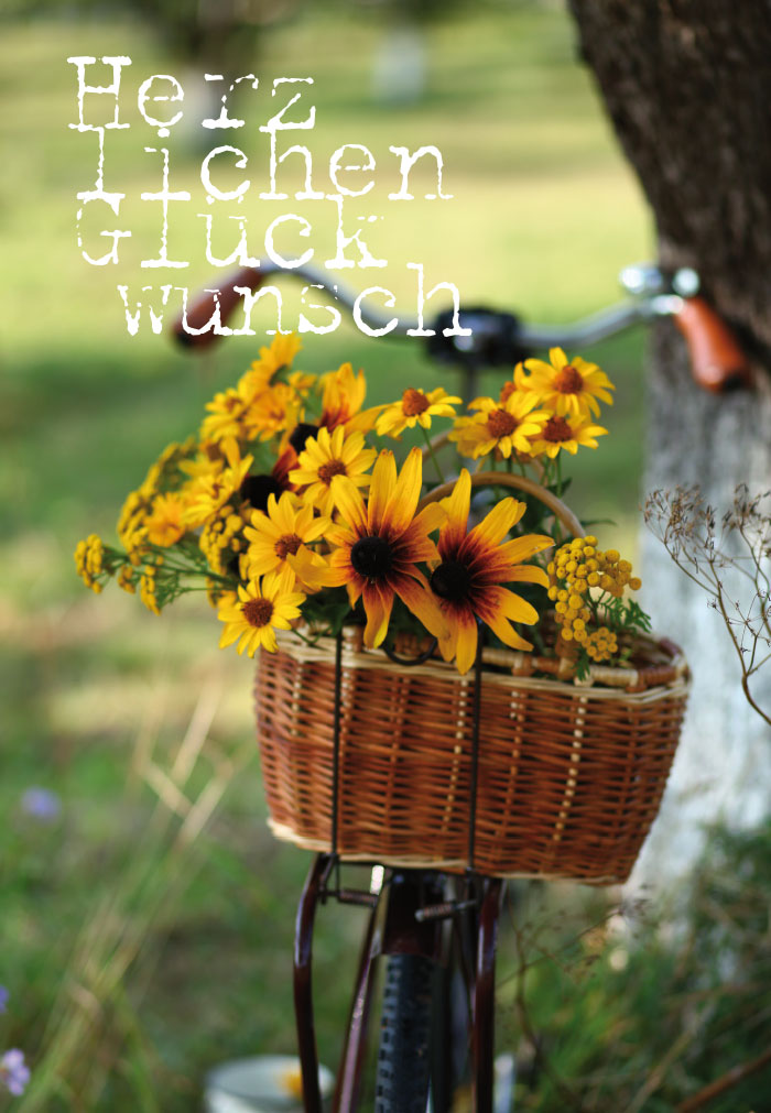 Blumen - Sonnenblumen auf dem Fahrrad Blumen - Sonnenblumen auf dem Fahrrad