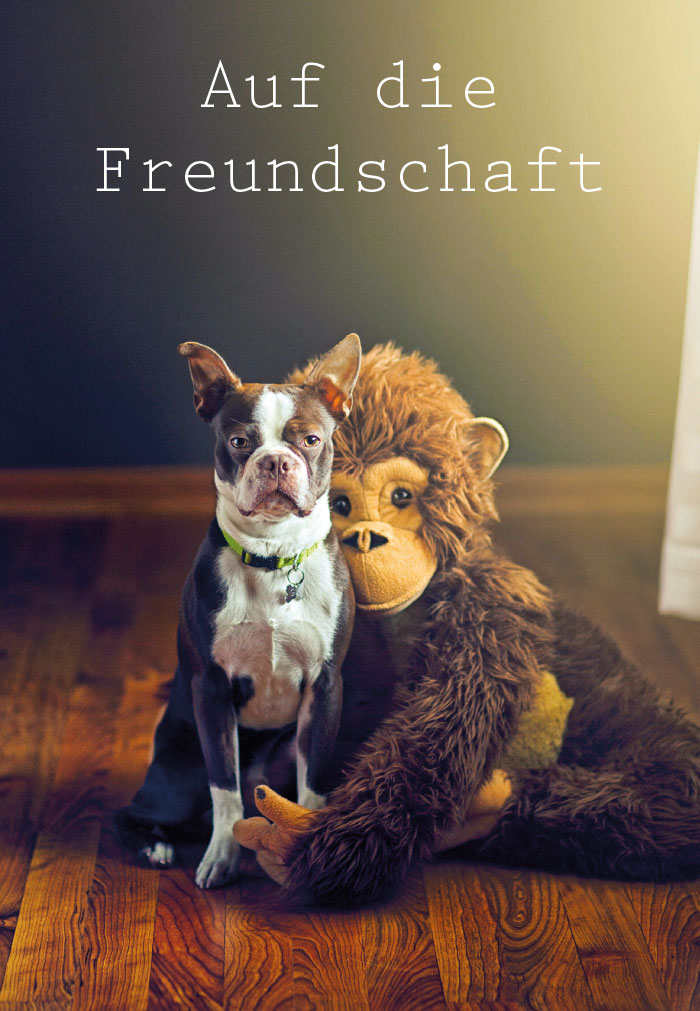 Gute Laune - Hund und Affe Gute Laune - Hund und Affe