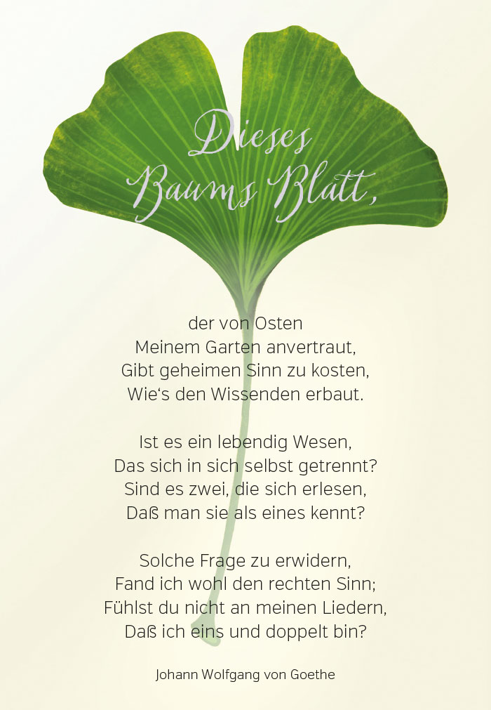 Spruch - Doppelkarte grüner Dinko mit viel Text Spruch - Doppelkarte grüner Dinko mit viel Text