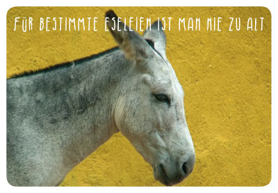 Gute Laune für jede Gelegenheit - Doppelkarte Pferd Gute Laune für jede Gelegenheit - Doppelkarte Pferd