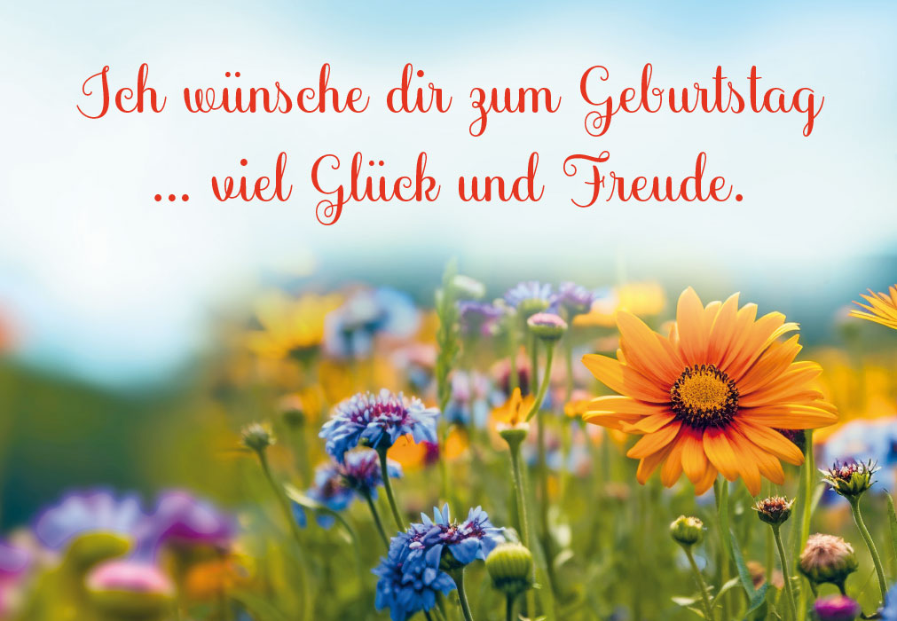 Geburtstag - Blumenwiese von ganz nah Geburtstag - Blumenwiese von ganz nah