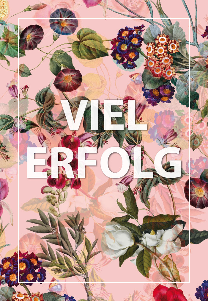 Blumen - rosa Hintergrund, Blumen, Früchte, illustriert Blumen - rosa Hintergrund, Blumen, Früchte, illustriert