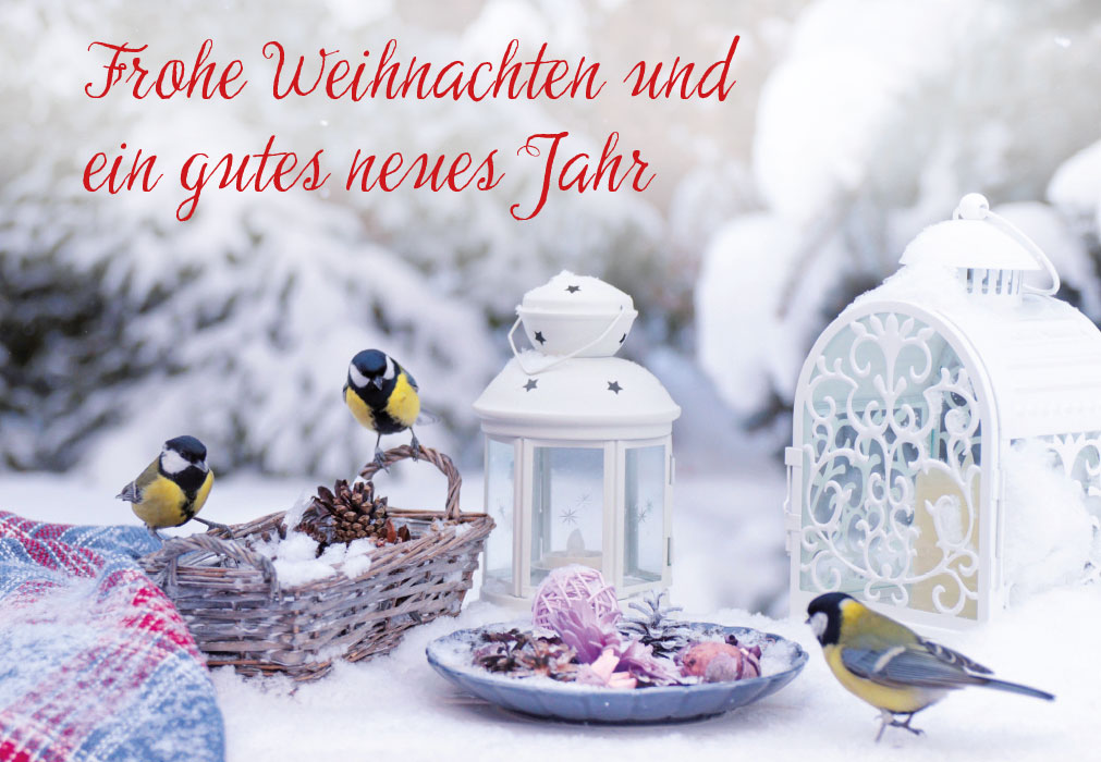 Weihnachten - Kohlmeisen, Windlichter, Korb Weihnachten - Kohlmeisen, Windlichter, Korb