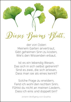 Gedanken - Ginkgo und weiß Gedanken - Ginkgo und weiß