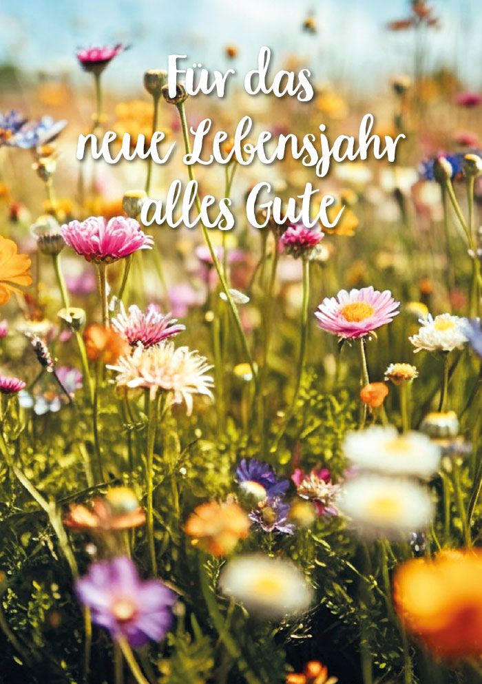 Kleine Kartengrüße -bunte Blumenwiese Kleine Kartengrüße -bunte Blumenwiese