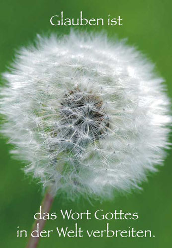 Konfirmation - Glückwunschkarte Pusteblume groß