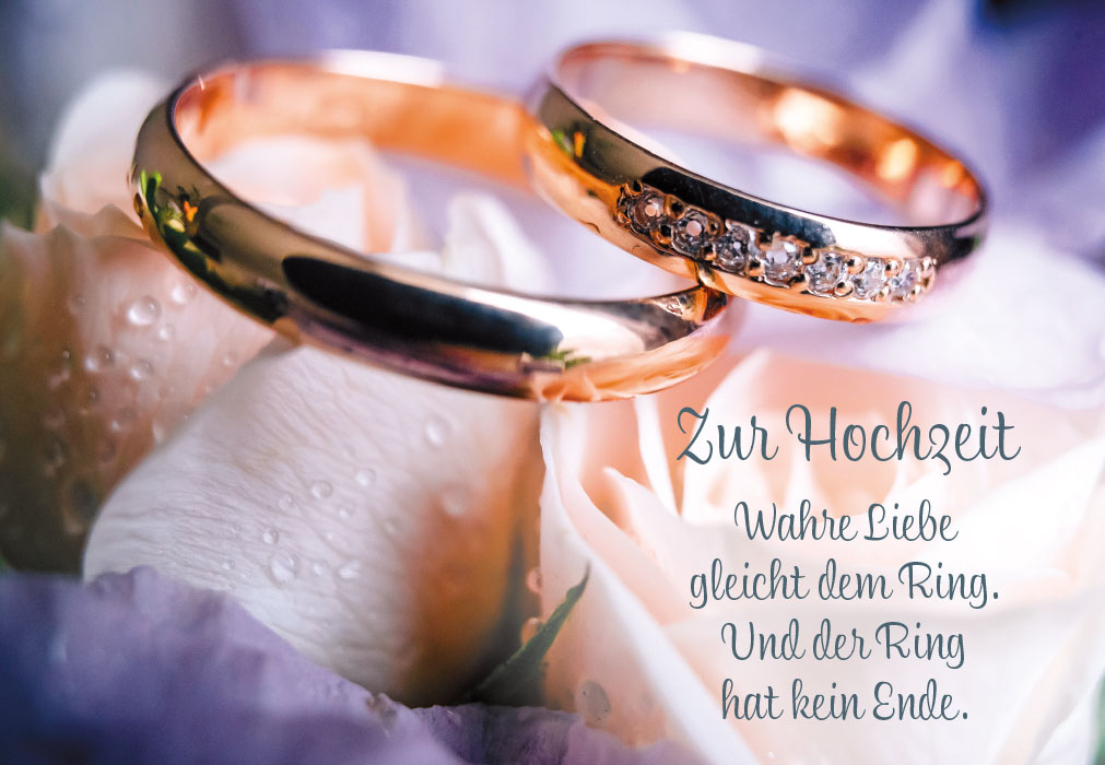 Hochzeit - goldene Ringe auf Blumen Hochzeit - goldene Ringe auf Blumen