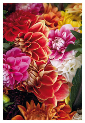 Blumen - Doppelkarte Blumen - Doppelkarte