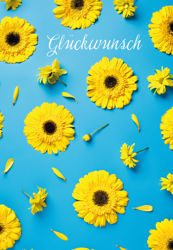 Blumen - gelbe Margeriten auf blauem Grund Blumen - gelbe Margeriten auf blauem Grund