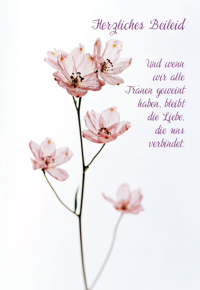 Trauer Doppelkarte -zarte Blüten a. hellem Grund Trauer Doppelkarte -zarte Blüten a. hellem Grund