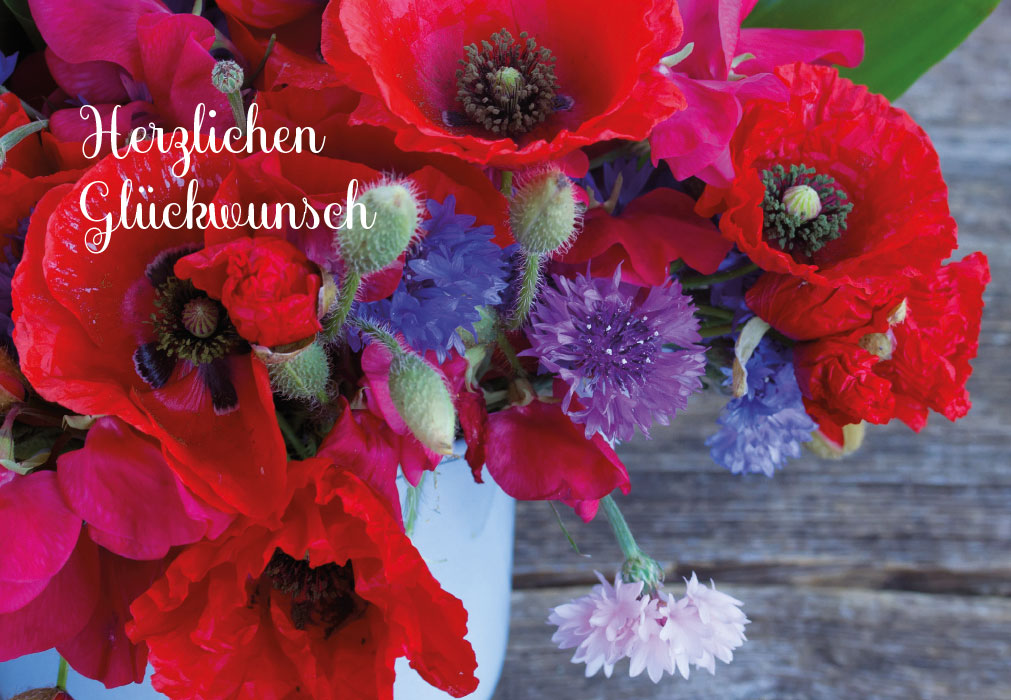 Blumen - rote Narzissen in Vase Blumen - rote Narzissen in Vase