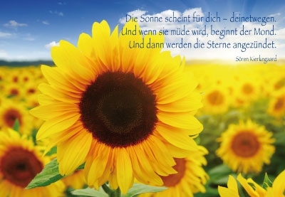 Von Mensch zu Mensch - strahlende Sonnenblume Von Mensch zu Mensch - strahlende Sonnenblume