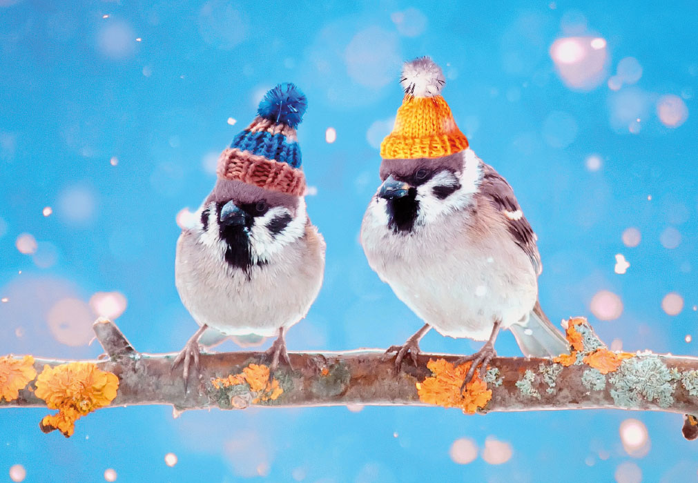 Weihnachten - 2 Vögel auf Ast