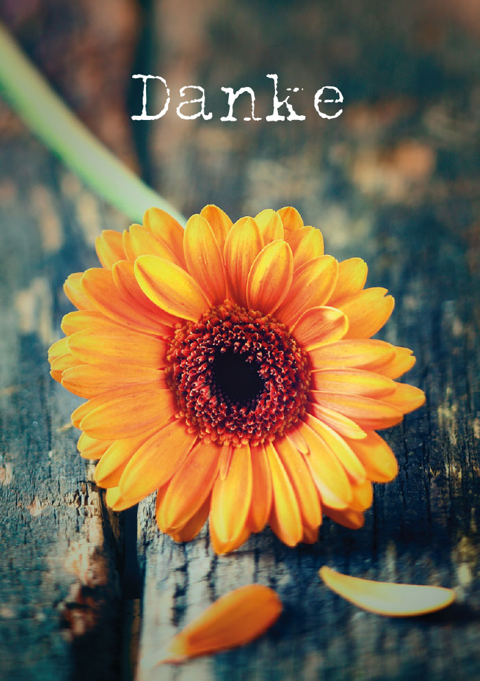 Kleine Kartengrüße - Sonnenblume Kleine Kartengrüße - Sonnenblume