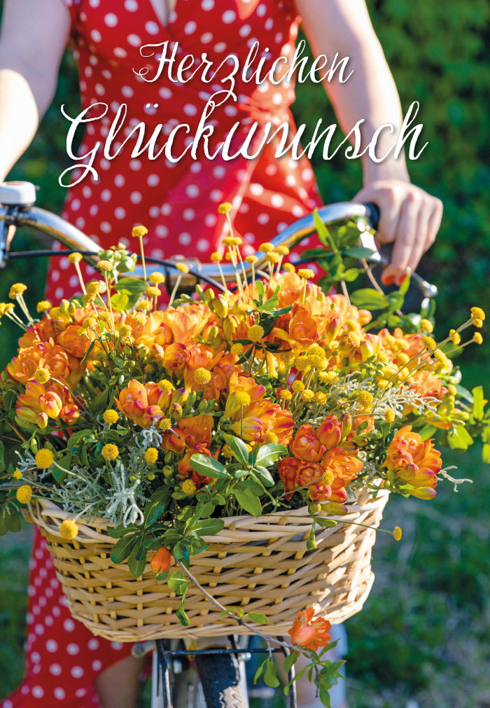 Blumen - herbstliche Blumen im Fahrradkorb Blumen - herbstliche Blumen im Fahrradkorb