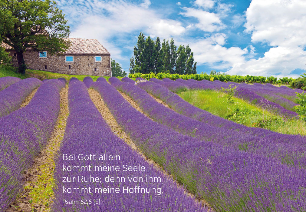 Glaube - Flieder vor altem Landhaus Glaube - Flieder vor altem Landhaus