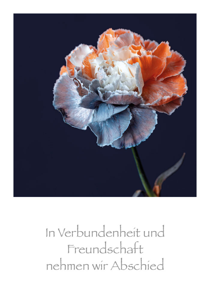 Trauer - Blume im schwarzen Feld