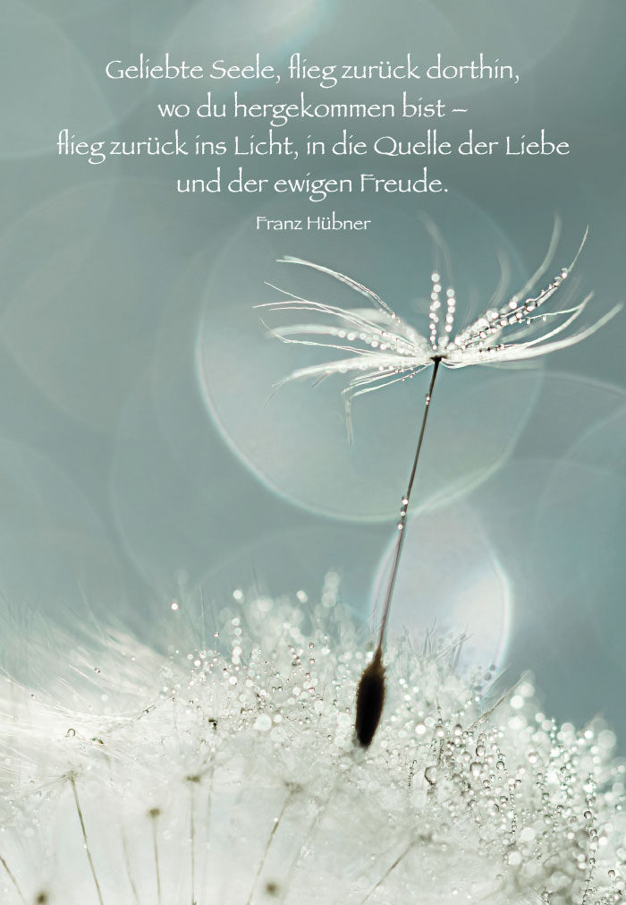 Trauer - Pusteblumen