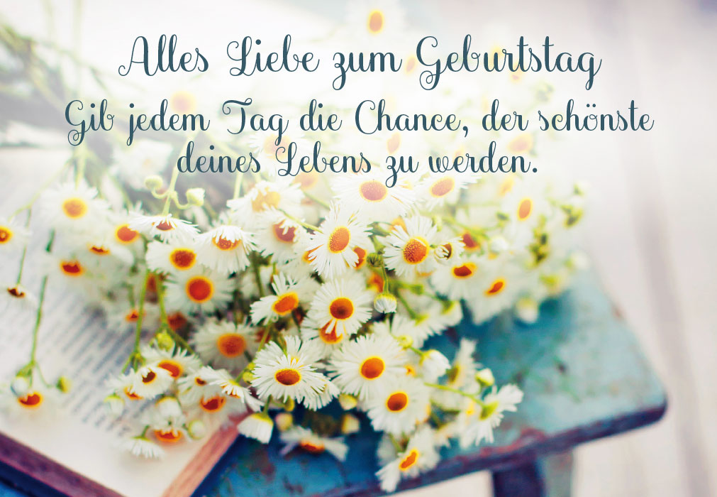 Geburtstag - frische Gänseblümchen auf Büchern Geburtstag - frische Gänseblümchen auf Büchern