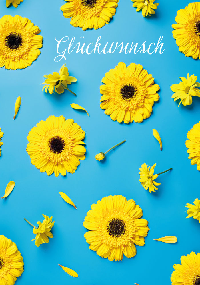 Kleine Kartengrüße - Margeriten auf blauem Grund Kleine Kartengrüße - Margeriten auf blauem Grund