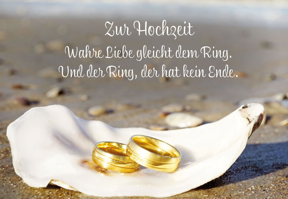 Hochzeit - zwei goldene Ringe in Muschel