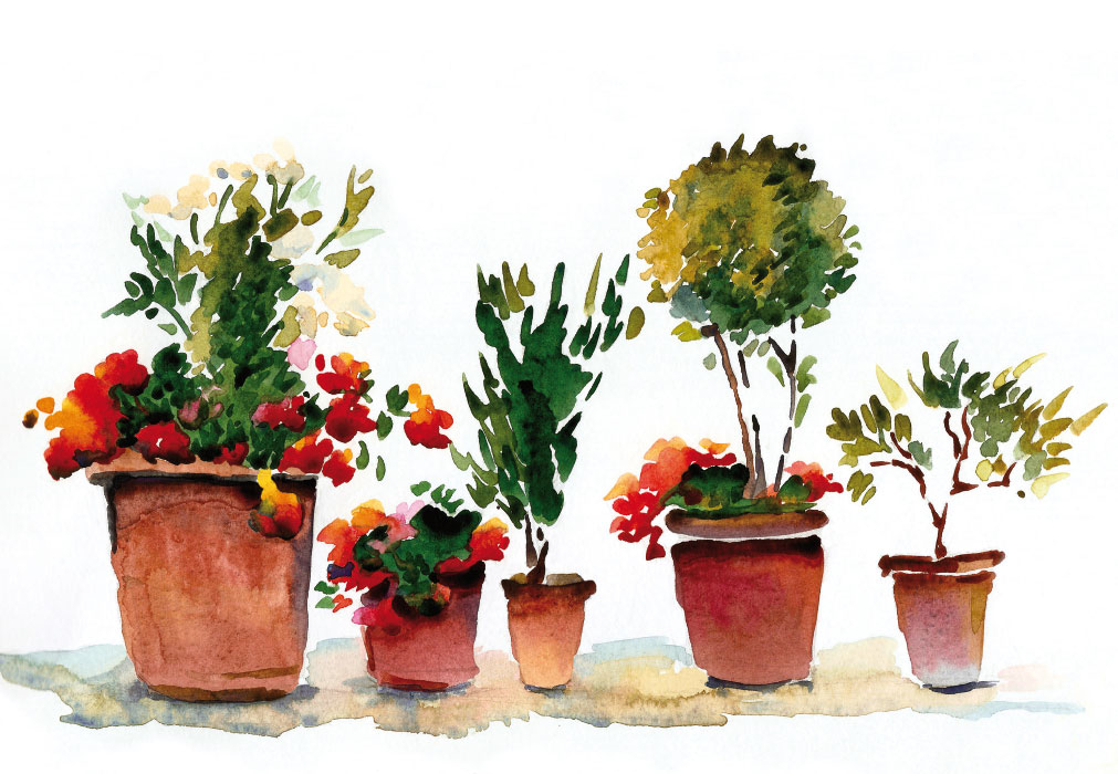 Blumen  - Keramiktöpfe mit Blumen, Sträucher Blumen  - Keramiktöpfe mit Blumen, Sträucher