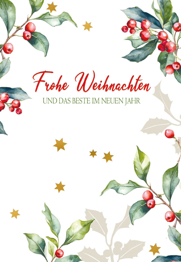 Weihnachten - rote Beeren, grüne Blätter, goldene Sterne