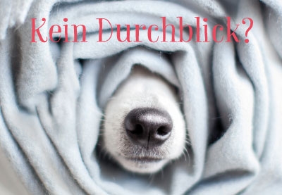 Tierisch gute Laune - Hundeschnauze aus Decke Tierisch gute Laune - Hundeschnauze aus Decke