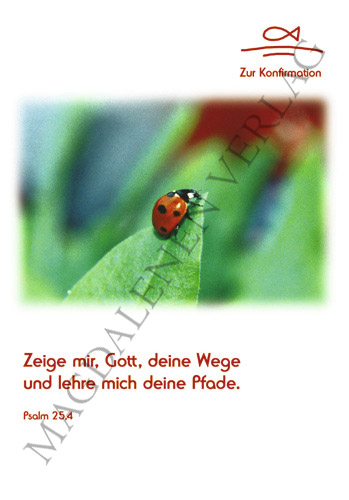 Konfirmation - Doppelkarte Marienkäfer auf Blatt Konfirmation - Doppelkarte Marienkäfer auf Blatt