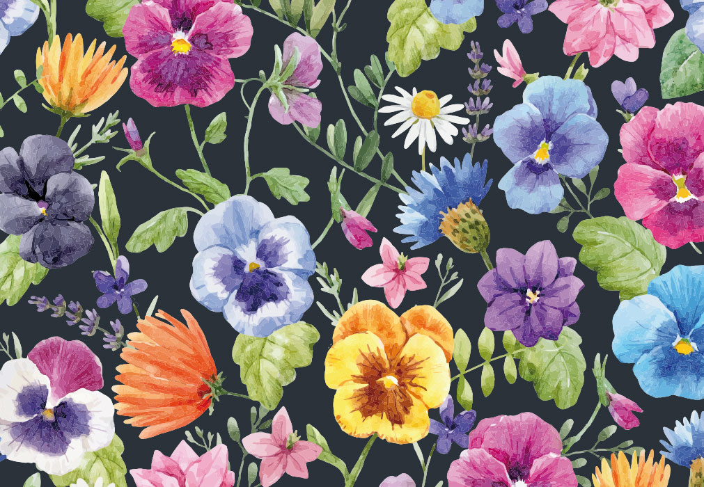 Blumen - verschiedene, bunte Blumen, illustriert