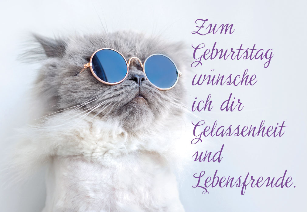 Geburtstag - coole Katze mit Decke und Sonnenbrille Geburtstag - coole Katze mit Decke und Sonnenbrille