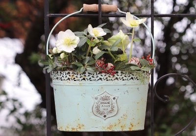 Vorweihnachtszeit - Topf mit Blumen  Vorweihnachtszeit - Topf mit Blumen