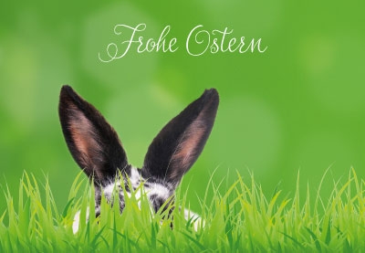 Ostern - Osterhase im Gras Ostern - Osterhase im Gras
