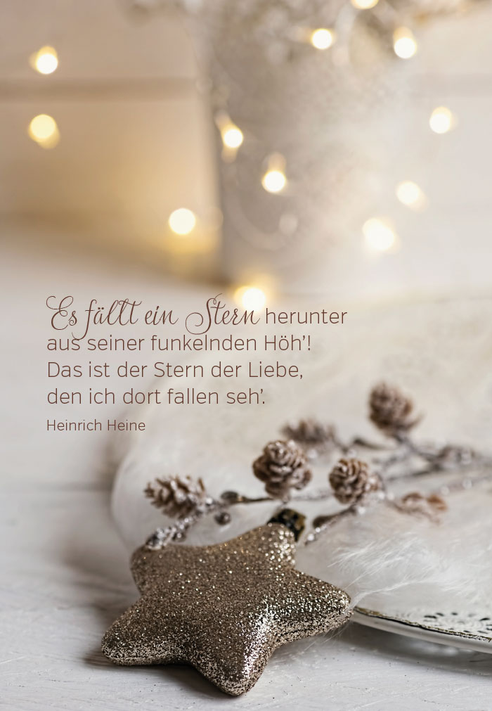 Weihnachten - Weihnachtsstern in Schale Weihnachten - Weihnachtsstern in Schale