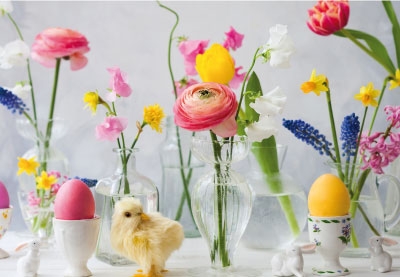 Ostern - Blumen, Kücken, Eier Ostern - Blumen, Kücken, Eier