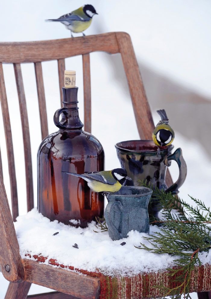 Weihnachten - Kleine Kartengrüße Vögel, Stuhl, Schnee Weihnachten - Kleine Kartengrüße Vögel, Stuhl, Schnee