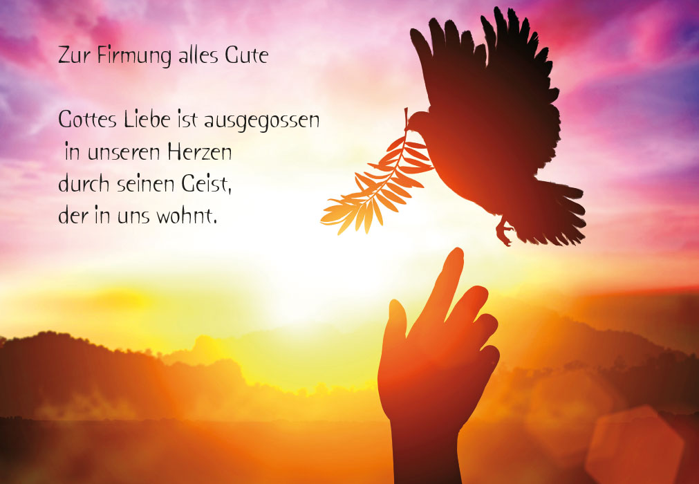 Firmung - Friedenstaube, Ölzweig, Hand, Sonnenuntergang Firmung - Friedenstaube, Ölzweig, Hand, Sonnenuntergang