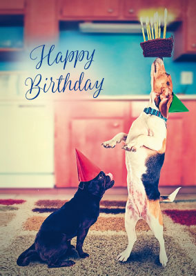 Postkarte - Geburtstag Happy Birthday  Postkarte - Geburtstag Happy Birthday
