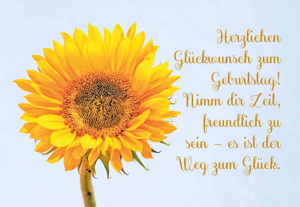 Geburtstag - schöne, gelbe Sonnenblume Geburtstag - schöne, gelbe Sonnenblume