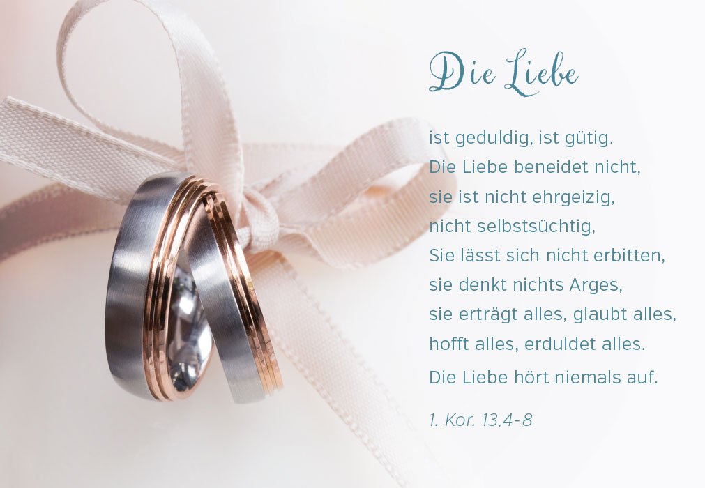 Hochzeit - zwei Ringe in Schleife Hochzeit - zwei Ringe in Schleife