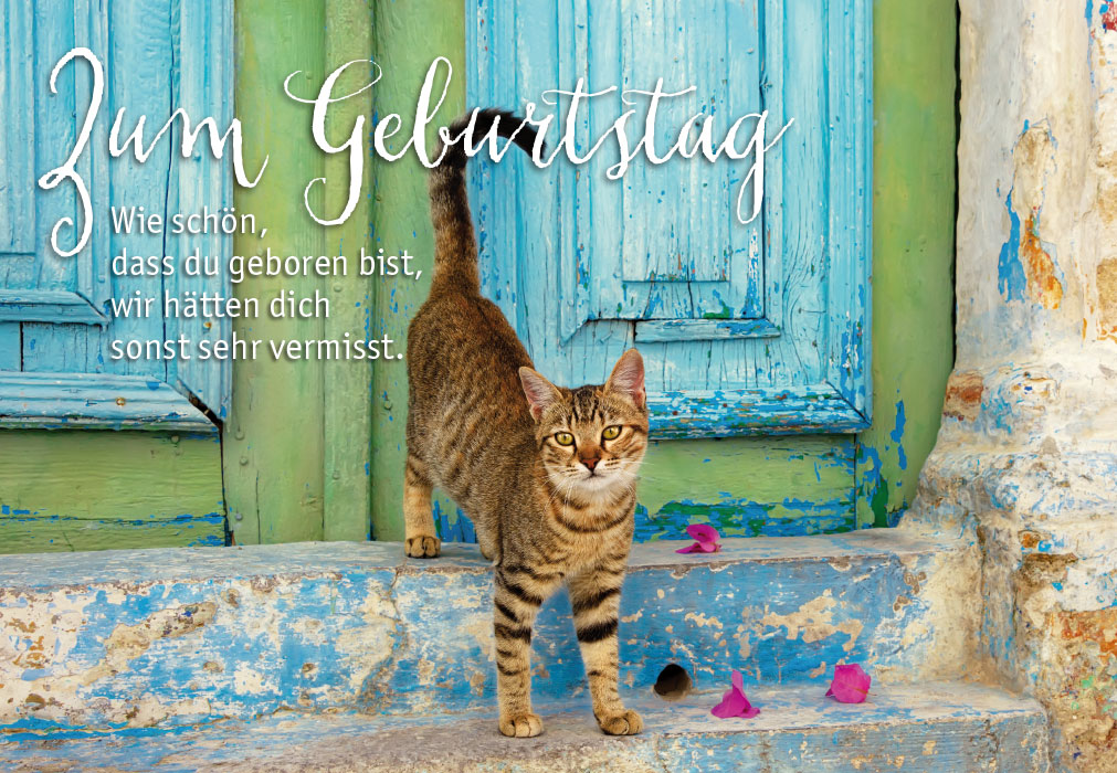 Geburtstag - Katze vor T?r  Geburtstag - Katze vor T?r