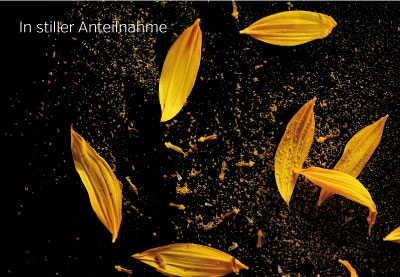 Trauer - Blätter auf schwarzem Grund Trauer - Blätter auf schwarzem Grund